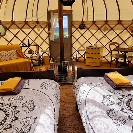 فندق Bronfelen Yurt Cynghordy المظهر الخارجي الصورة