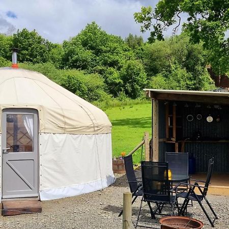 فندق Bronfelen Yurt Cynghordy المظهر الخارجي الصورة