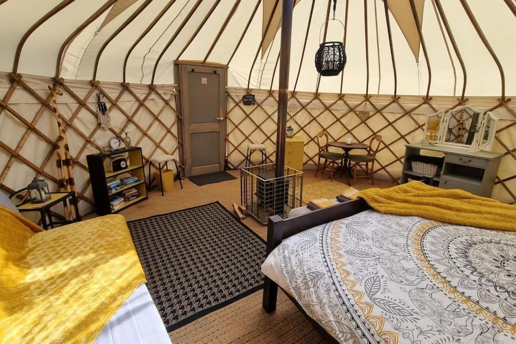فندق Bronfelen Yurt Cynghordy المظهر الخارجي الصورة