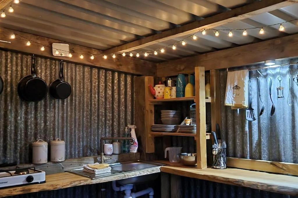 فندق Bronfelen Yurt Cynghordy المظهر الخارجي الصورة