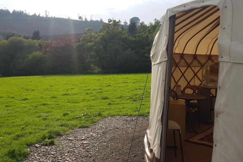 فندق Bronfelen Yurt Cynghordy المظهر الخارجي الصورة