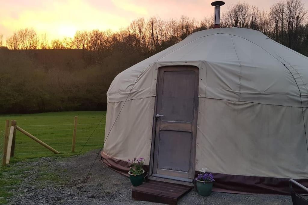 فندق Bronfelen Yurt Cynghordy المظهر الخارجي الصورة