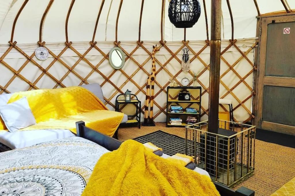 فندق Bronfelen Yurt Cynghordy المظهر الخارجي الصورة