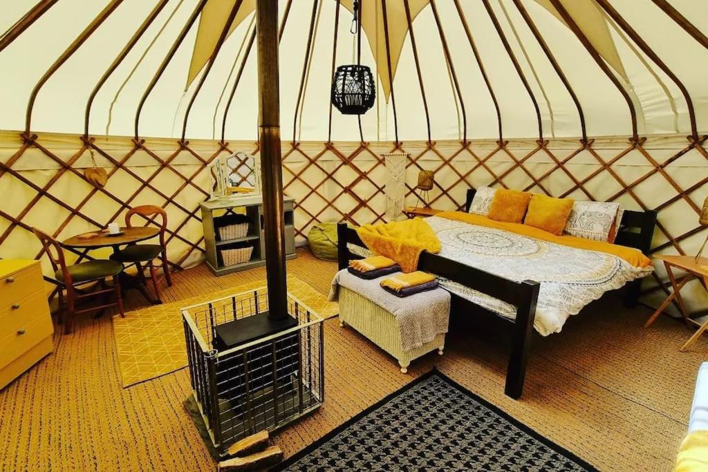 فندق Bronfelen Yurt Cynghordy المظهر الخارجي الصورة