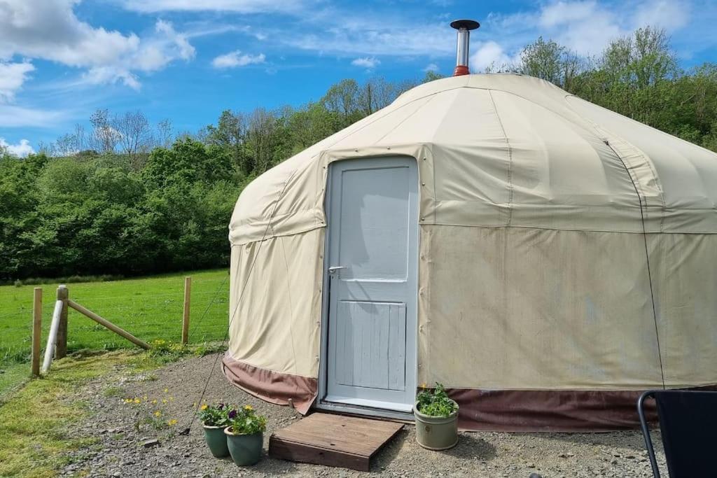فندق Bronfelen Yurt Cynghordy المظهر الخارجي الصورة